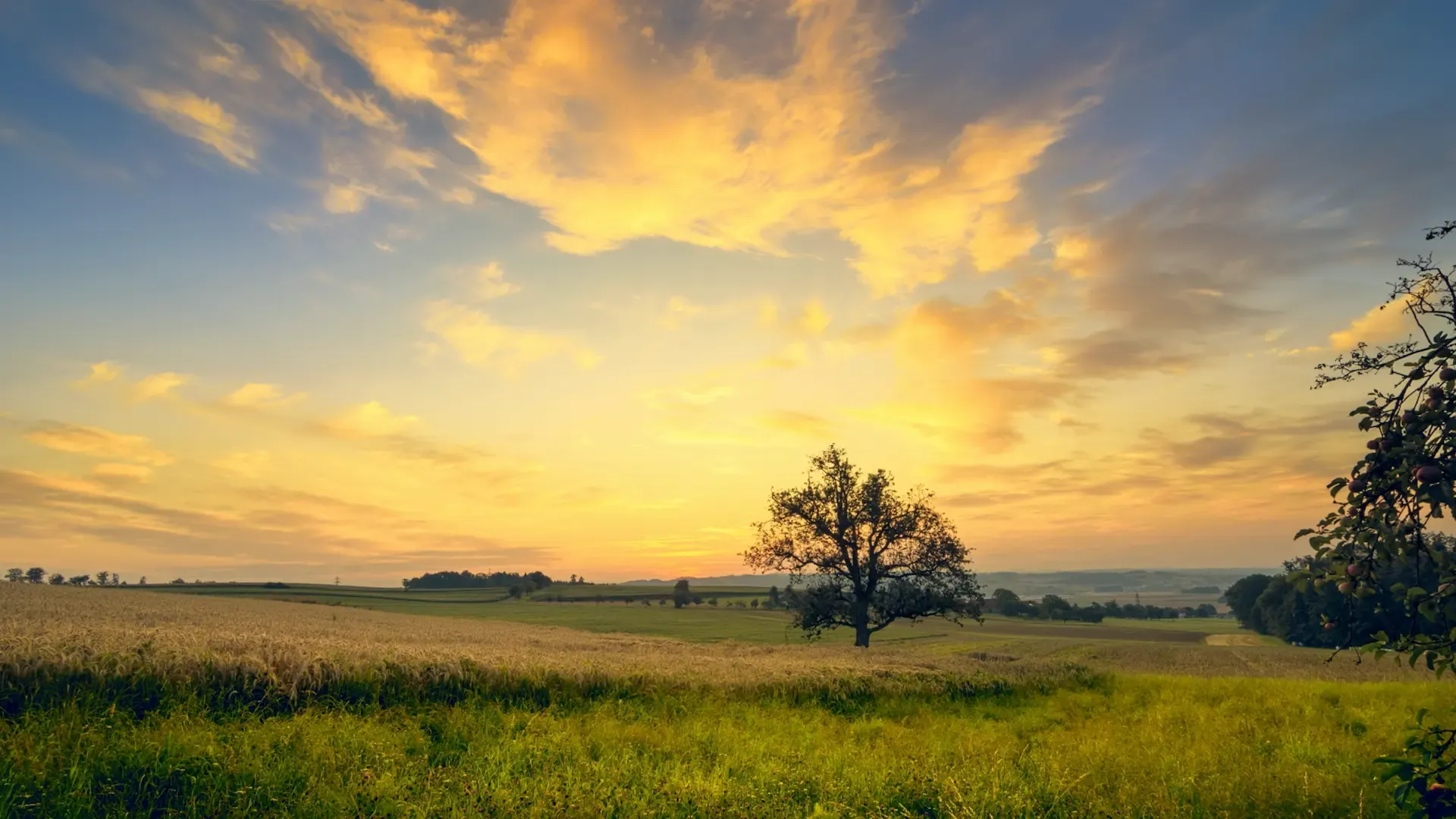 A trusted guide for mortgages in Tamworth and beyond A trusted guide for mortgages in Tamworth and beyond