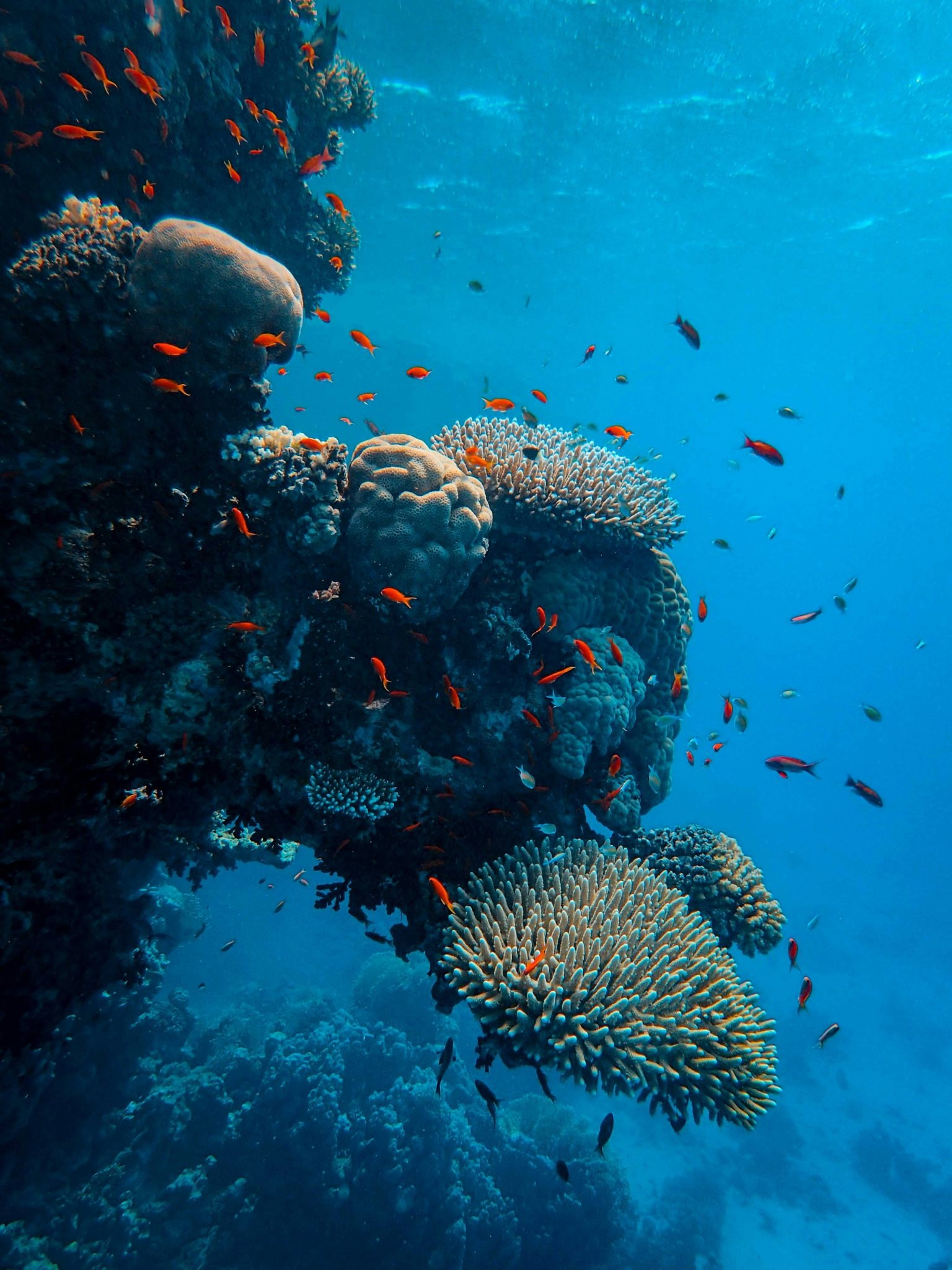 Is the Red Sea safe for cruises? A practical guide Is the Red Sea safe for cruises? A practical guide