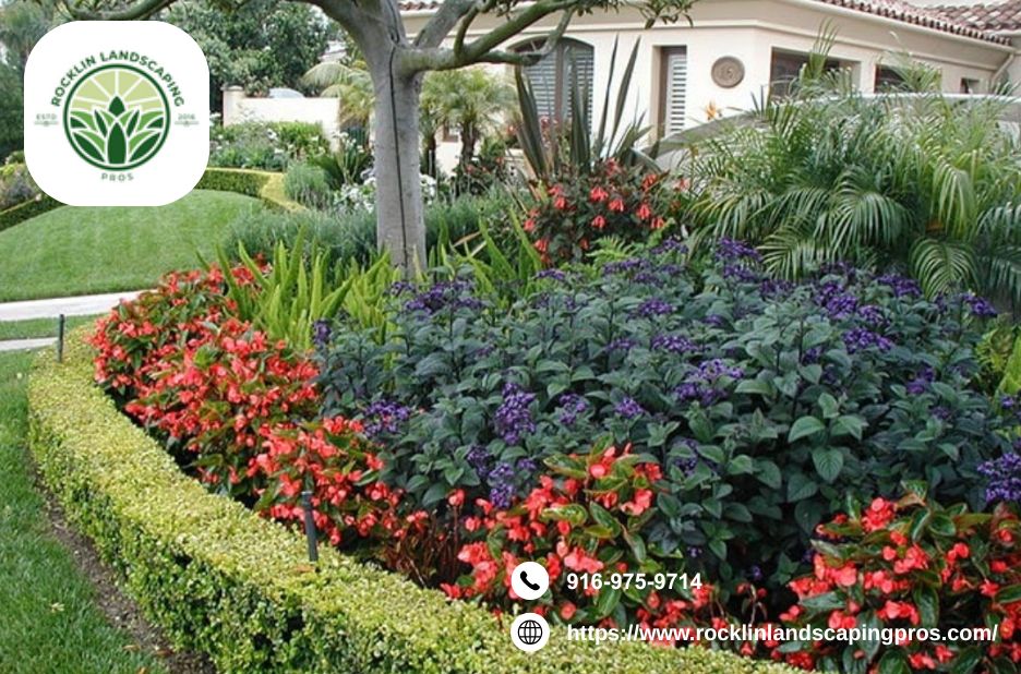 Practical Garden Solutions for Rocklin Homes Practical Garden Solutions for Rocklin Homes