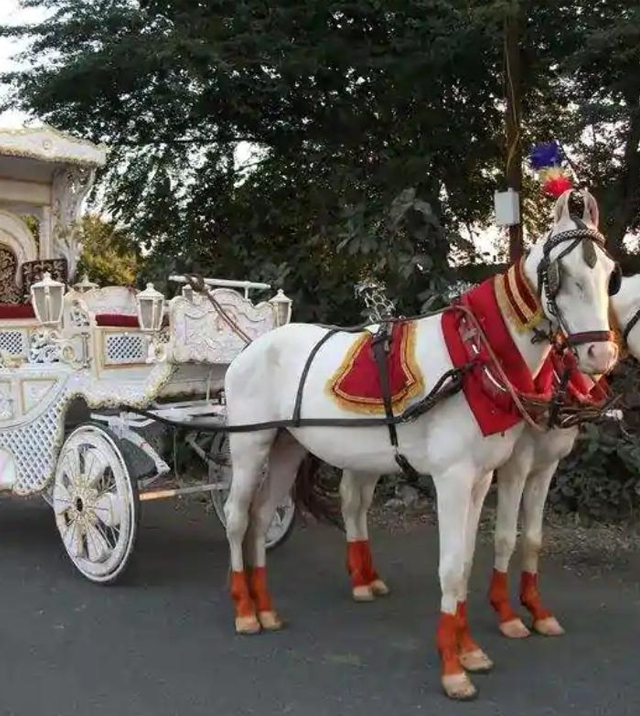A practical guide to mobile bars for weddings A practical guide to mobile bars for weddings