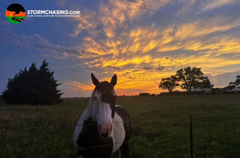 Chase the Storm: Guided USA Weather Tours Chase the Storm: Guided USA Weather Tours