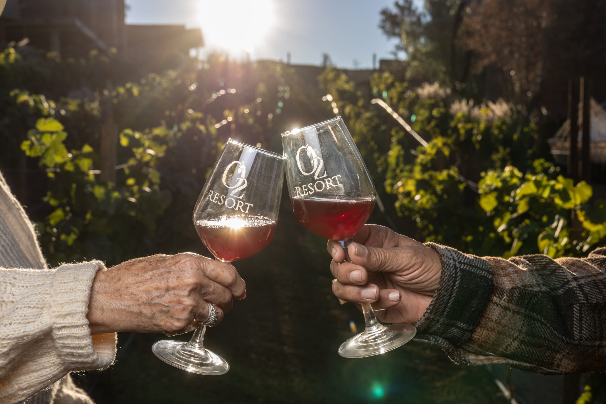 Unforgettable stays in Baja California’s wine country Unforgettable stays in Baja California’s wine country