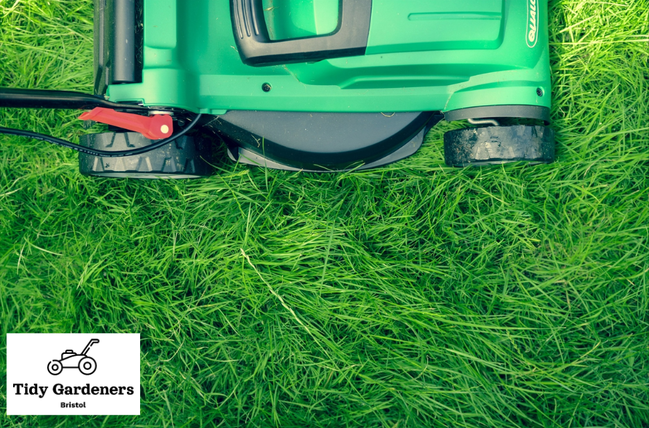 Professional garden care for Bristol homes Professional garden care for Bristol homes
