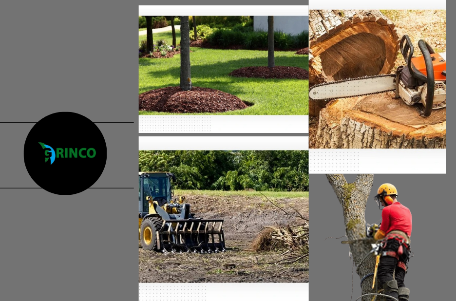 Professional Tree Removal Williamstown Services for Safe and Efficient Outdoor Solutions Professional Tree Removal Williamstown Services for Safe and Efficient Outdoor Solutions