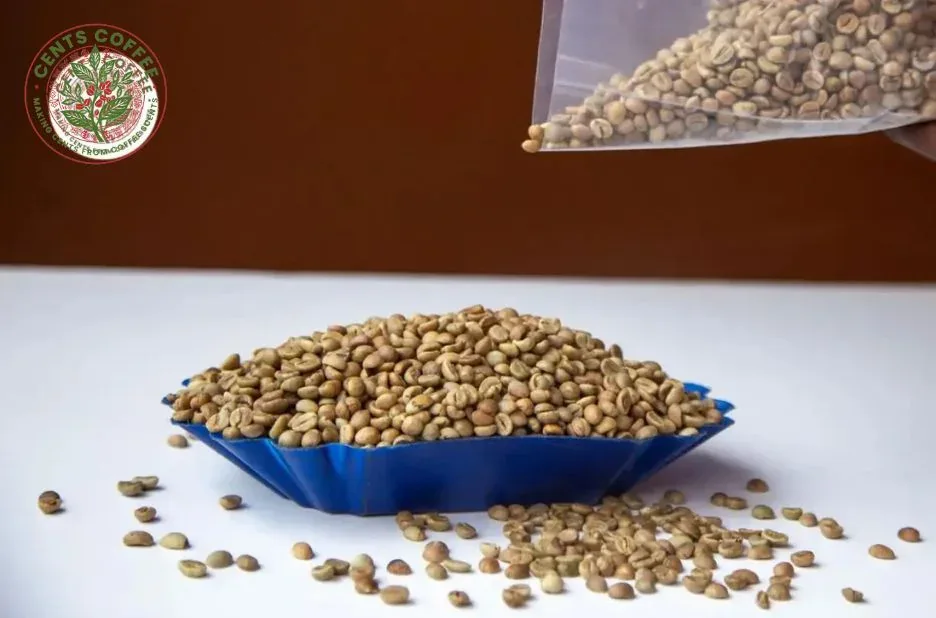Premium Arabica Coffee AA Grade Beans for Specialty Roasting and Balanced Flavor Premium Arabica Coffee AA Grade Beans for Specialty Roasting and Balanced Flavor