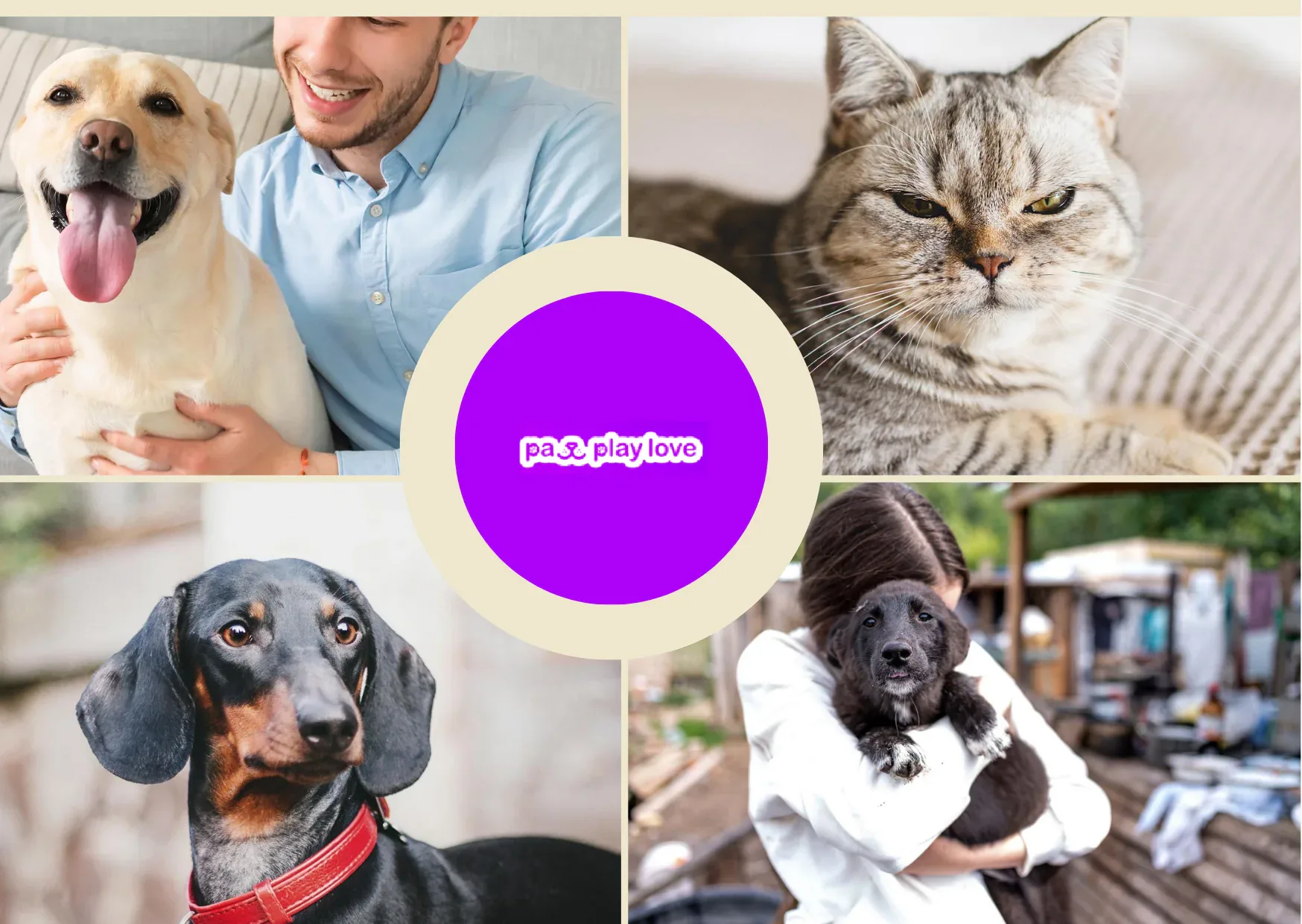 Cats Dating Website – Connect Your Furry Friends for Purr-fect Matches Cats Dating Website – Connect Your Furry Friends for Purr-fect Matches