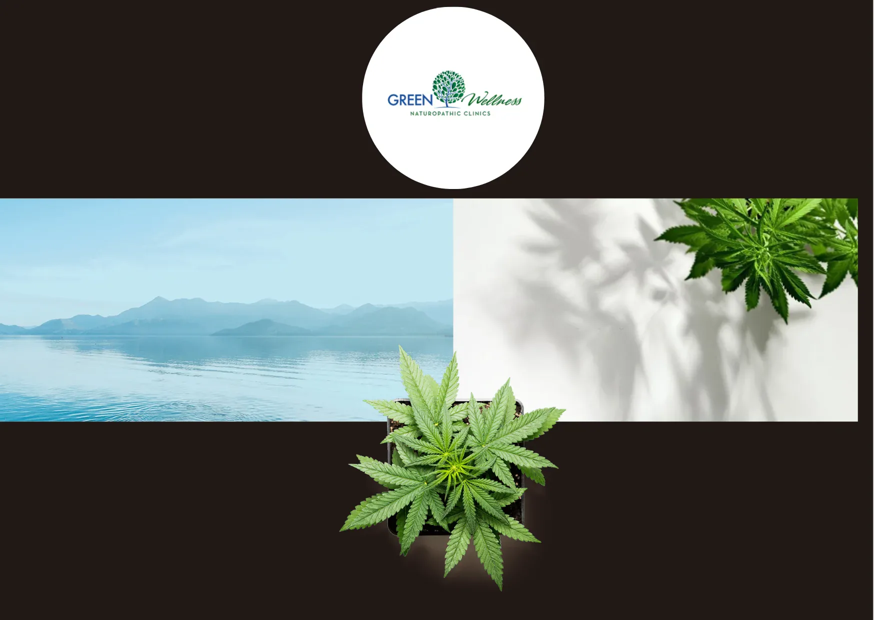 How to Get a Medical Marijuana Card in WA | Comprehensive Guide 2024 How to Get a Medical Marijuana Card in WA | Comprehensive Guide 2024