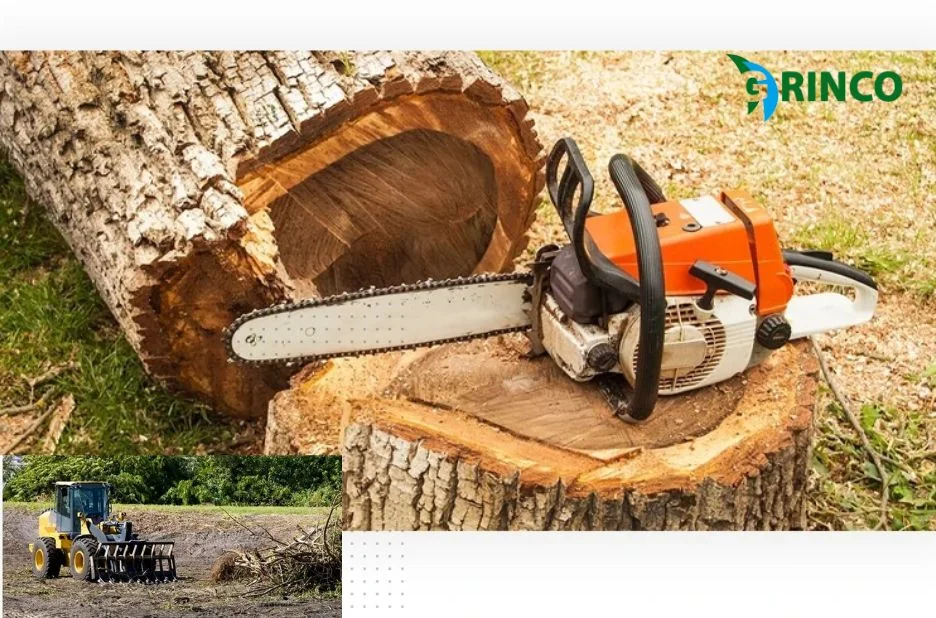 Professional Tree Removal Altona Services for Safe and Efficient Property Care Professional Tree Removal Altona Services for Safe and Efficient Property Care