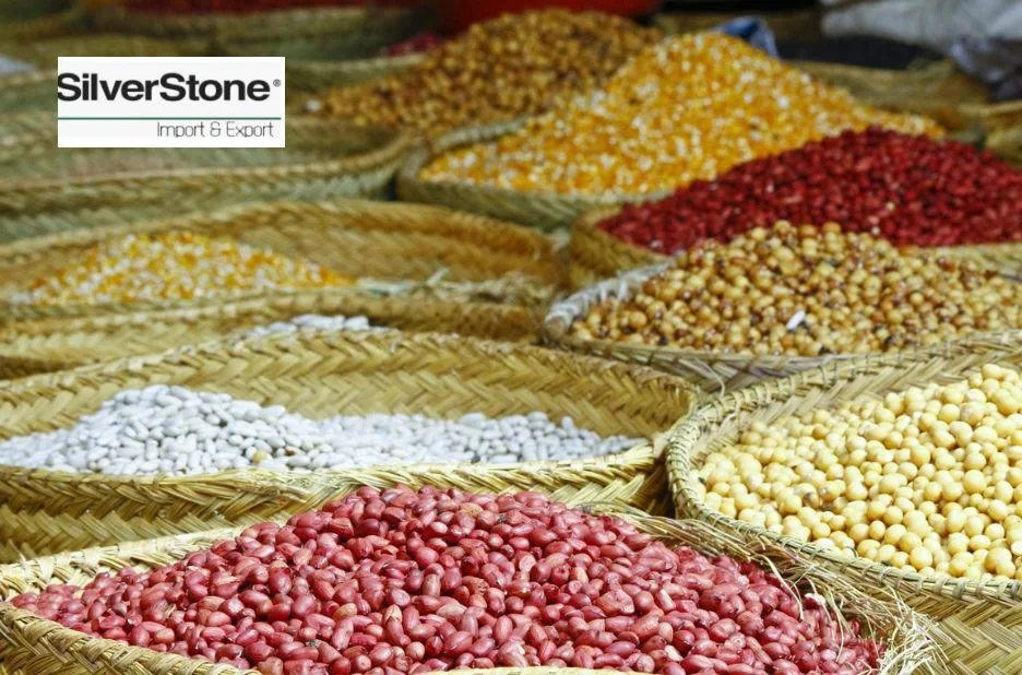 Buy Premium Pinto Beans for Sale – Quality, Nutrition, and Reliable Supply Buy Premium Pinto Beans for Sale – Quality, Nutrition, and Reliable Supply