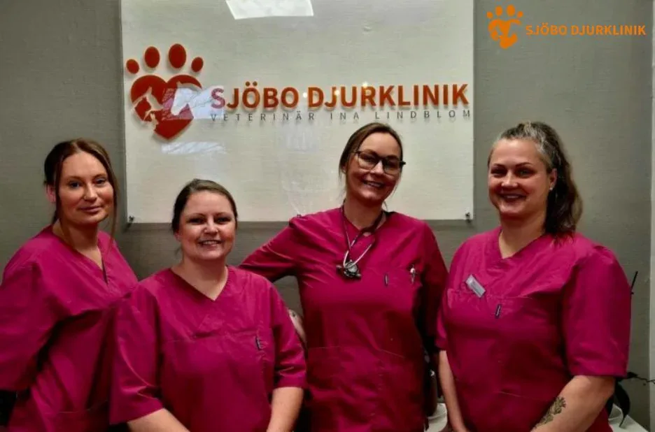 Vaccinera Hund i Ystad – Säker och Omsorgsfull Hundvaccination hos Sjobodjurklinik.se Vaccinera Hund i Ystad – Säker och Omsorgsfull Hundvaccination hos Sjobodjurklinik.se