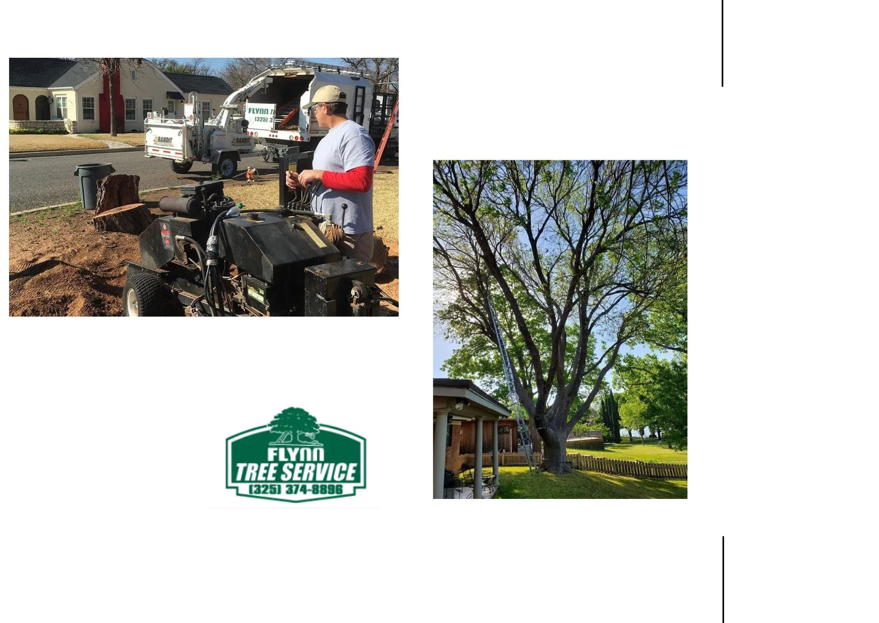Expert Tree Removal Services for Safe and Efficient Property Care Expert Tree Removal Services for Safe and Efficient Property Care