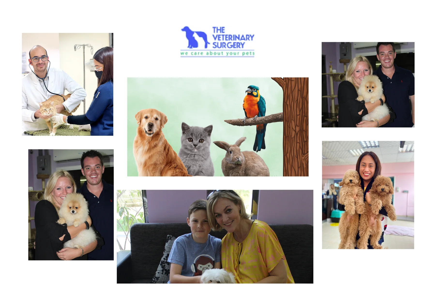 Trusted Emergency Vet Qatar for Immediate and Expert Pet Care Services Trusted Emergency Vet Qatar for Immediate and Expert Pet Care Services