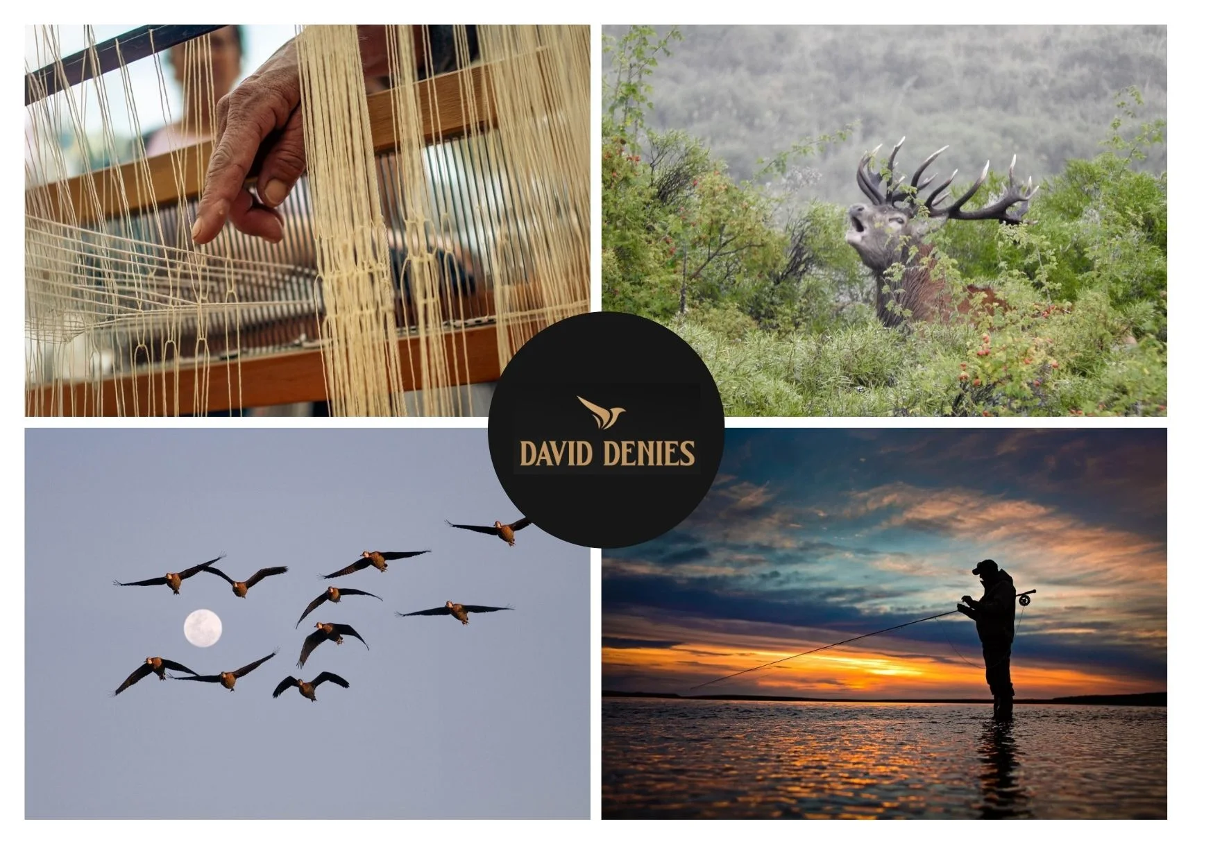 Ultimate Guide to the Best Dove Shooting in Tucuman for Unforgettable Hunting Adventures Ultimate Guide to the Best Dove Shooting in Tucuman for Unforgettable Hunting Adventures