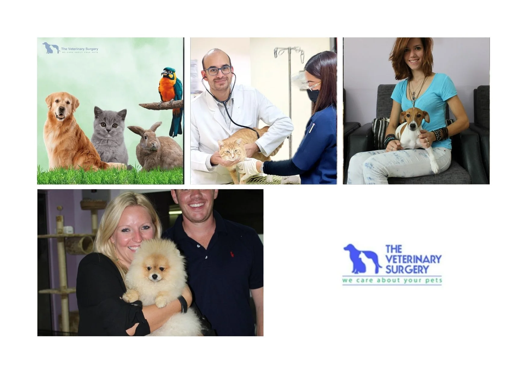 Trusted Doha Veterinary Center for Comprehensive Pet Care and Emergency Services Trusted Doha Veterinary Center for Comprehensive Pet Care and Emergency Services