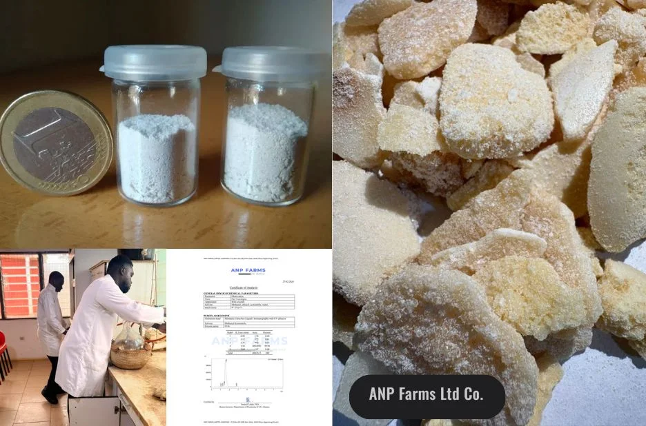 ANP Farms Ltd Co: Delivering Trusted Botanical Solutions for Premium Ibogaine HCl Production ANP Farms Ltd Co: Delivering Trusted Botanical Solutions for Premium Ibogaine HCl Production