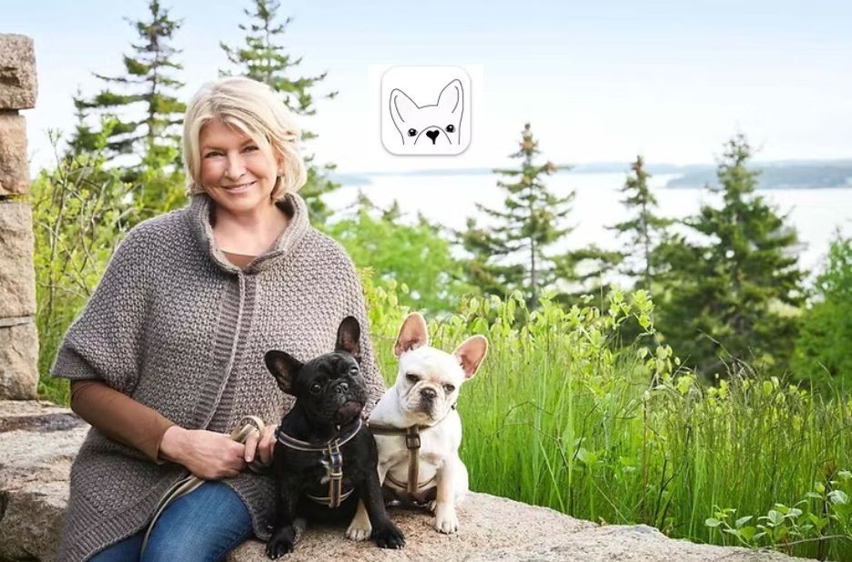 How to Navigate DWKC Papers for Your French Bulldog Breeding and Registration How to Navigate DWKC Papers for Your French Bulldog Breeding and Registration