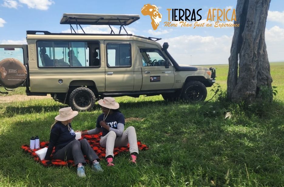 Choosing the Right Kenya Safari Tour Operator for Wildlife Experiences in Kenya Choosing the Right Kenya Safari Tour Operator for Wildlife Experiences in Kenya