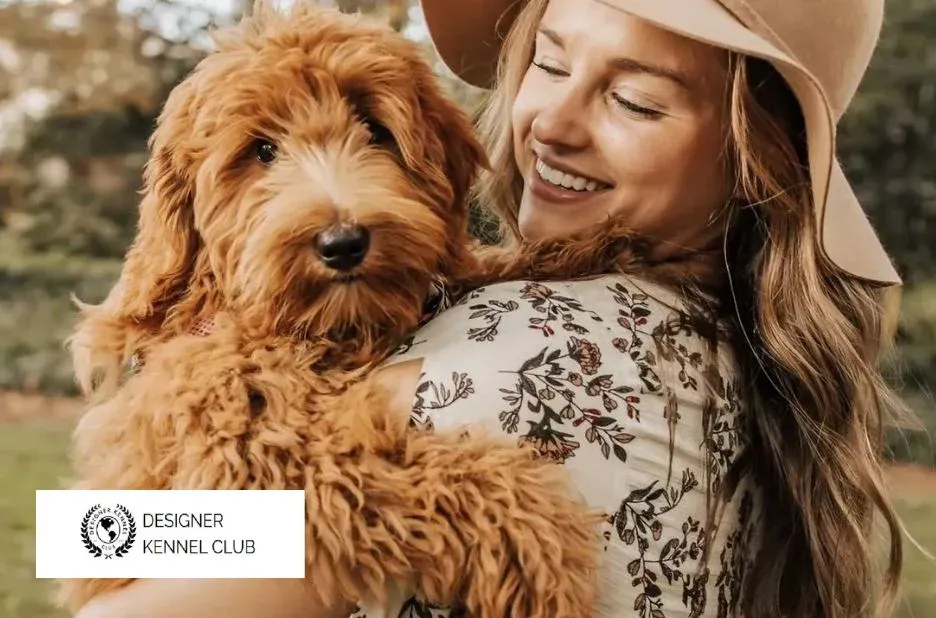 CKC Registration Made Simple for Your Dog at Designer Kennel Club Guest Post CKC Registration Made Simple for Your Dog at Designer Kennel Club Guest Post