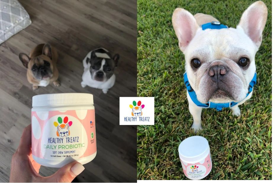 Probiotic Dog Treats: Buyer’s Checklist for Choosing the Right Formula Probiotic Dog Treats: Buyer’s Checklist for Choosing the Right Formula