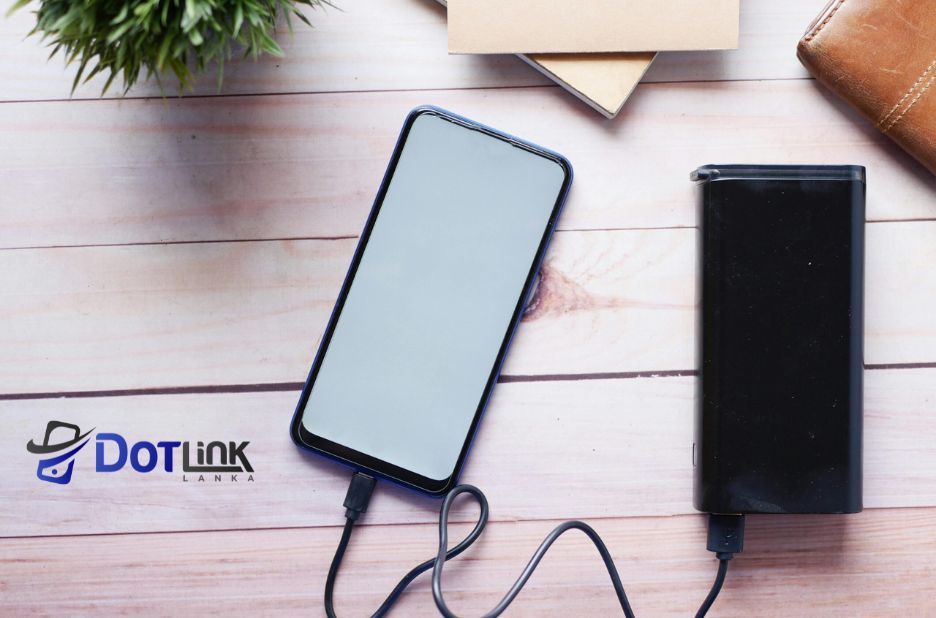 Green Lion Products: Where to Buy in Sri Lanka with Fast Delivery by Dotlinklanka.lk Green Lion Products: Where to Buy in Sri Lanka with Fast Delivery by Dotlinklanka.lk