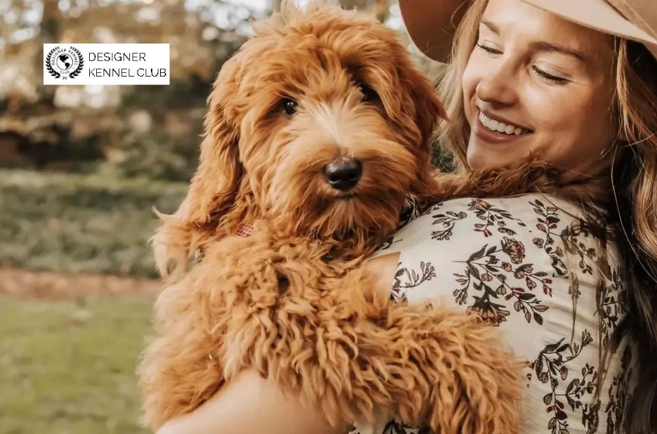 Register a Dog Without Papers: Key Benefits and How It Helps