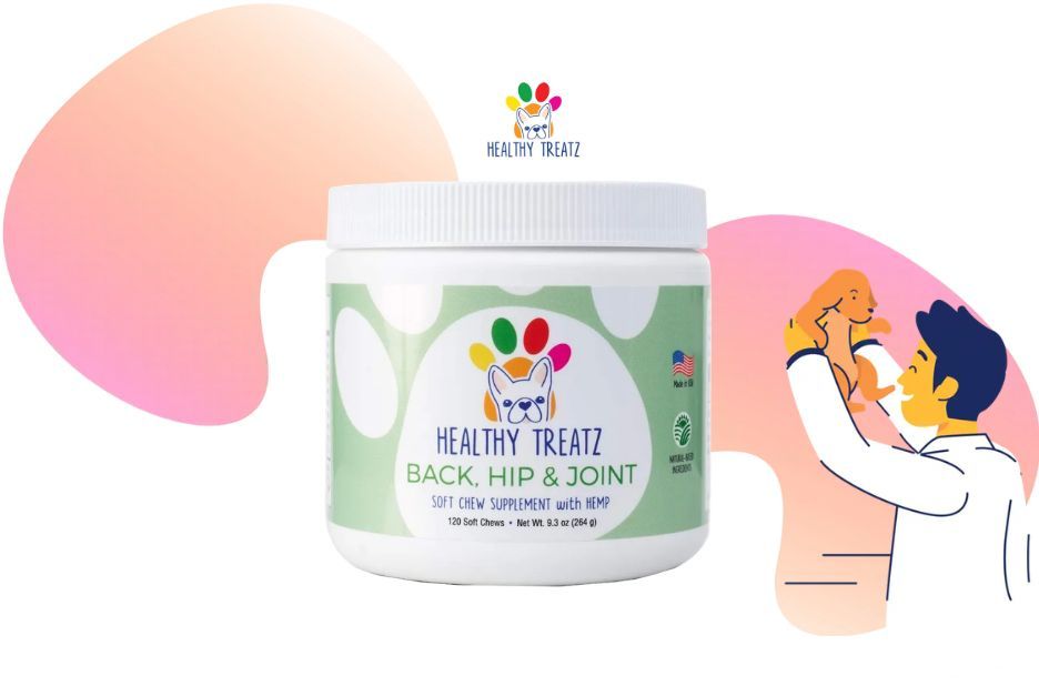 Best Joint Supplements for French Bulldogs: Trusted Options for Comfort and Mobility Best Joint Supplements for French Bulldogs: Trusted Options for Comfort and Mobility