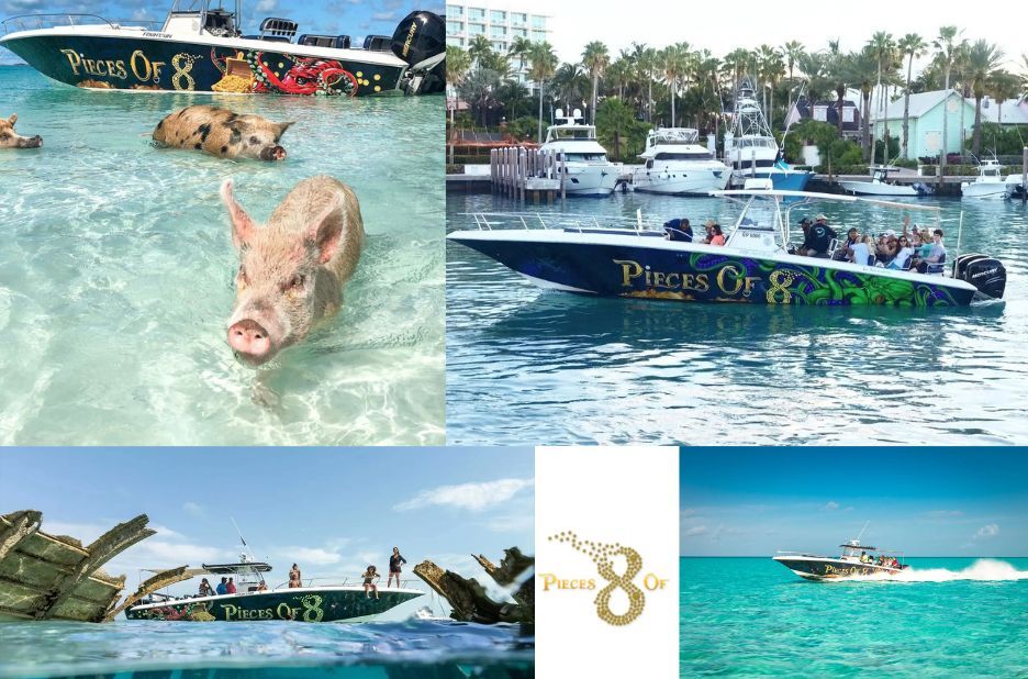 Swim With Pigs Nassau: How to Plan a Memorable Bahamas Adventure with Pieces of 8 Tours Ltd Swim With Pigs Nassau: How to Plan a Memorable Bahamas Adventure with Pieces of 8 Tours Ltd