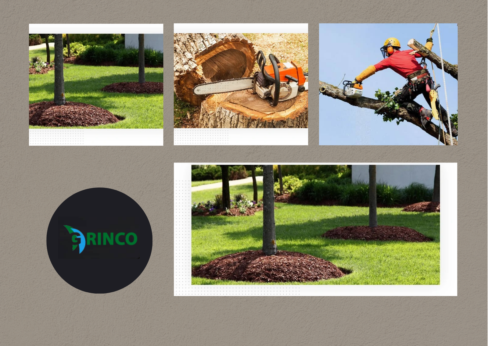 Trustworthy Tree Support Systems for Safer Landscapes Trustworthy Tree Support Systems for Safer Landscapes